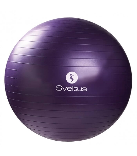 Poza cu Minge Fitness - Ø75 Sveltus