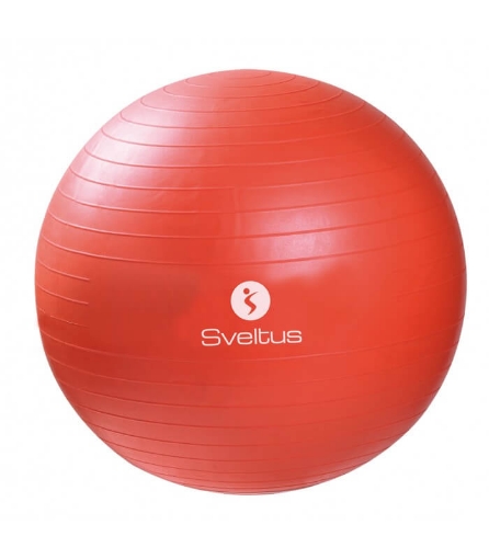 Poza cu Minge Fitness - Ø55 Sveltus