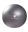 Poza cu Minge Fitness - Ø65 Sveltus GRI