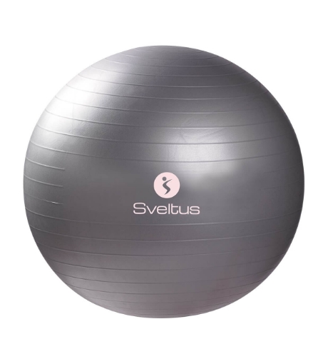 Poza cu Minge Fitness - Ø65 Sveltus GRI